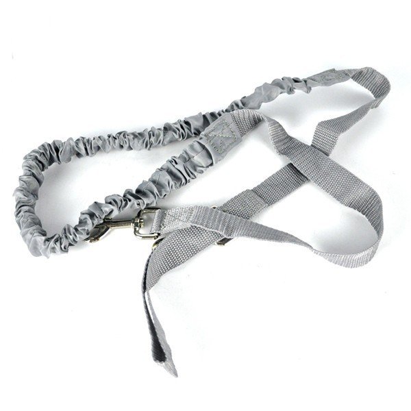 17629-kutyasetaltato-szett.html