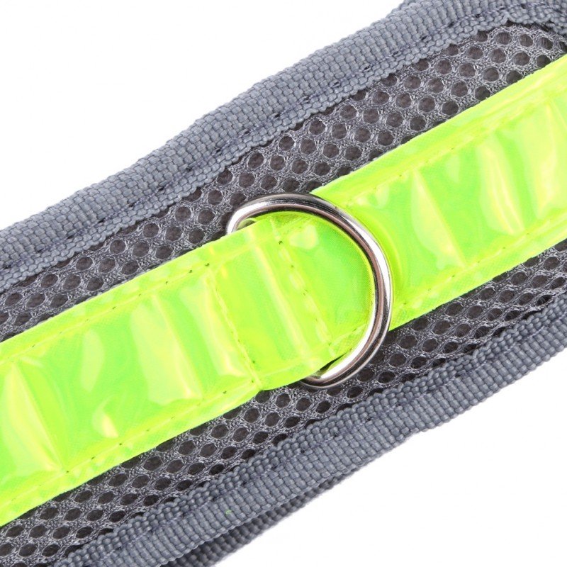 17629-kutyasetaltato-szett.html