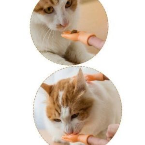 Vicces mini ujjra húzható kezek macskagazdiknak