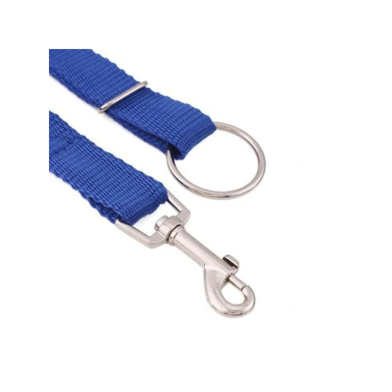 oktato-kutyaham-seo-4215