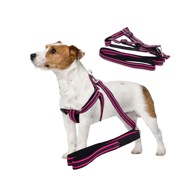 kutyaham-fenyvisszavero-poraz-25cm-kutyaham-poraz-fenyvisszavero-kutyasetaltatas-kutyafelszereles-kutyatartas-kutyakiegeszito-vim-017